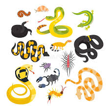 Dangerous animals